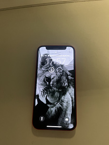 iPhone 12 mini 128Gb красный (2 фото из 4)