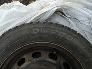 Ford Focuse talverehvid velgedel (3 foto / 6)