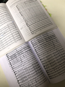Ноты. Книги Ricordi. Rigoletto. Carmen. La Boheme. (2 фото из 2)
