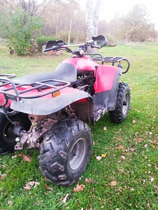 Linhai Bighorn 260 (3 foto / 4)