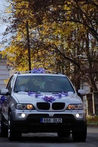 Pulmakaunistus autol (1 foto / 3)