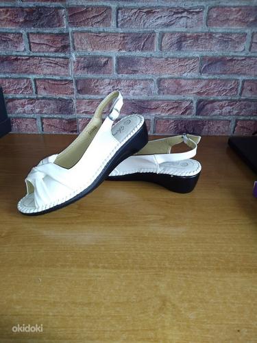 Женская обувь дёшeво: туфли, босоножки, сапоги (размер 36) (фото #9)