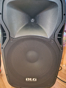 BLG Professional 15" Bluetooth Speaker + Microphone (1 foto / 3)