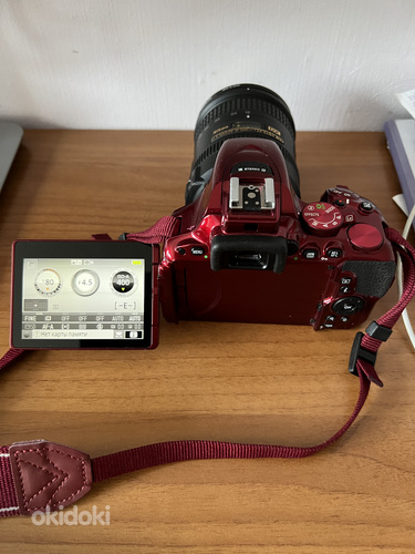 Nikon d5500 + Nikon AF-S DX VR Zoom Nikkor 18-200mm f/ 3.5-5 (фото #6)