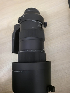 Sigma 60-600mm F4.5-6.3 DG OS HSM Sports (canon) (5 foto / 7)