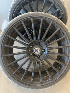 R20 Alpina koopiaveljed (1 foto / 3)