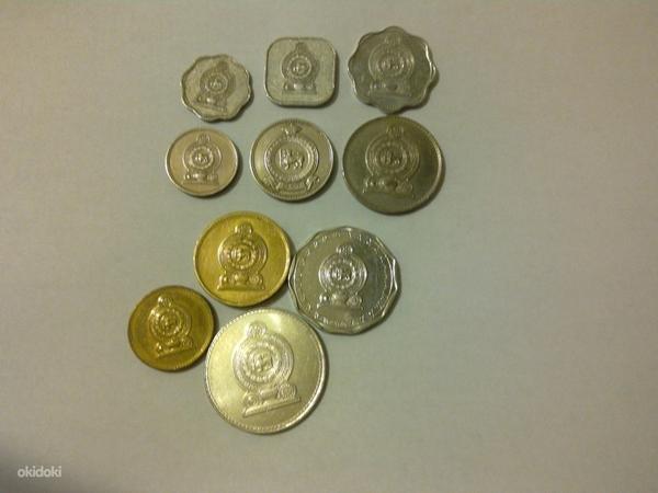 Sri Lanka mündid (foto #1)