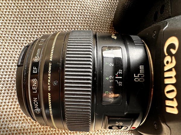 Canon EOS 5D Mark ii (foto #4)