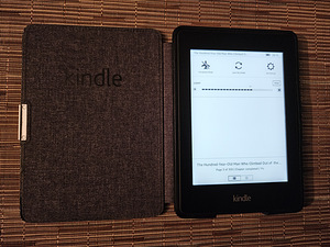 Kindle Paperwhite 2, 4GB + orig. kaaned BRONEERITYD (7 foto / 7)