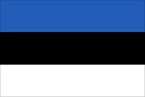 Tõlkimisteenus eesti-vene / Translation from rus-est est-rus (1 foto / 1)