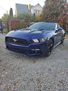 Ford Mustang Ecoboost (1 foto / 10)