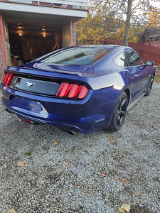 Ford Mustang Ecoboost (4 foto / 10)