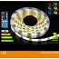 LED-RIBA SPECTOR LIGHT 3M 14,4W RGBW IP65 PULT (foto #1)