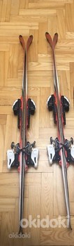 Лыжи Völk racetiger junior (130cm) - Tallinn - Спортивный инвентарь ...
