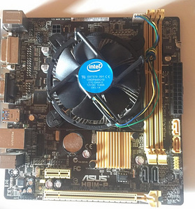 Emaplaat ASUS H81M-P LGA1150 (1 foto / 1)