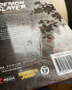 Deemon Slayer manga (4 foto / 6)