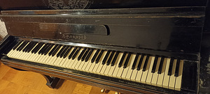 Klaver ,, Valgevene"