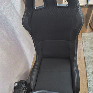 G29 DRIVING FORCE,PLAYSEAT (2 foto / 6)