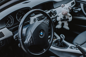 BMW e91 lci 318d (3 фото из 5)