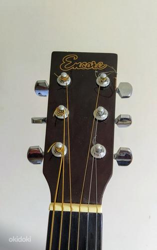 Акустическая гитара | Encore EN155SB (фото #5)