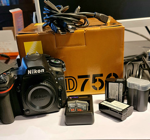 Nikon D750 +Nikon AF-S Nikkor 50mm f/1.8G объектив