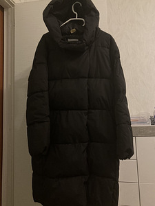 Talvejope, pikk (1 foto / 3)