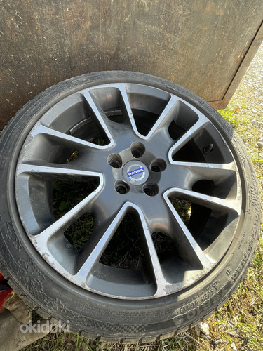 Rehv