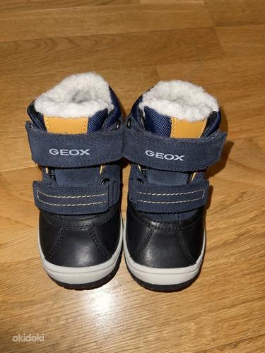 Ботинки Geox новые (фото #1)