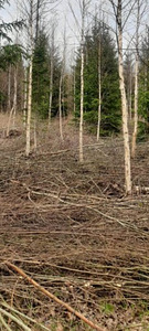 Võsalõikus ja Trimmerdamine