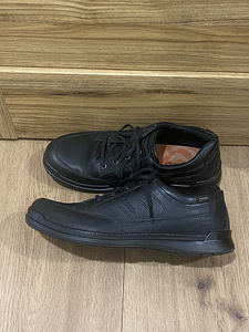 Ecco coretex tossud nr 43 (3 foto / 6)