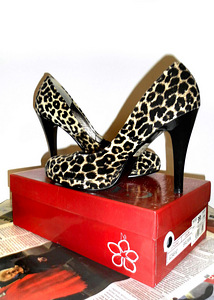Cara effektsed leopardimustriga sametised kingad, 39 (1 foto / 7)