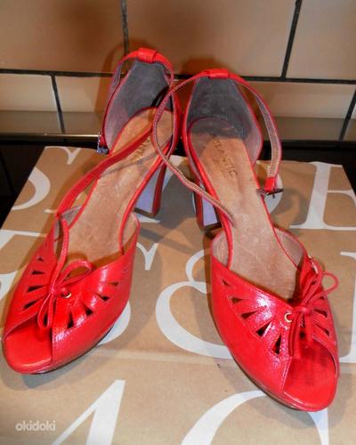 Atlantic Breese erkpunased kingad-rihmikud, 38, uued (foto #3)