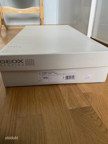 Продам ботинки Geox respira 37 размер (фото #2)
