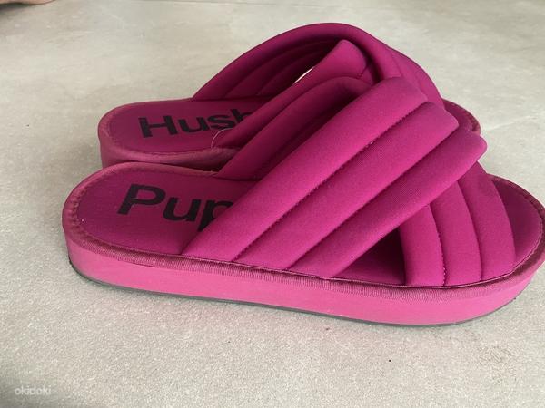 Hush Puppies naiste kingad, fuksia, EU40 (foto #1)