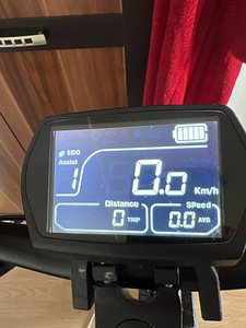 Kugoo G2 pro CityWay 800W (3 foto / 7)