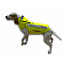 Pruunistus Protect Pro Evo koera vest (uus, suurus 65) (foto #1)