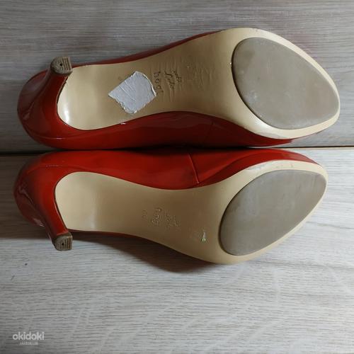 Кожаные фирменные оригинальные туфли от HOGL 39.5 -40 р кожа (фото #8)