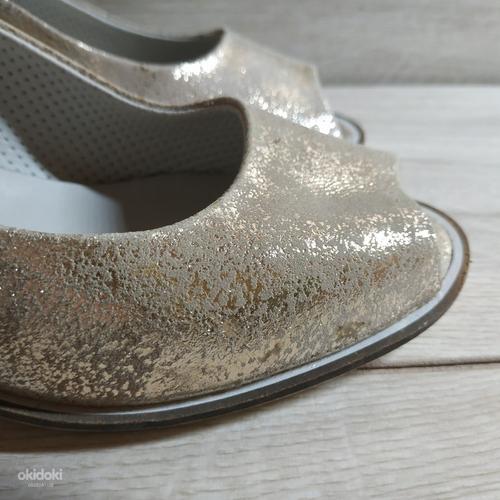 Шкіряні стильні фірмові туфлі від Pasito 38 р шкіра всюди (фото #2)