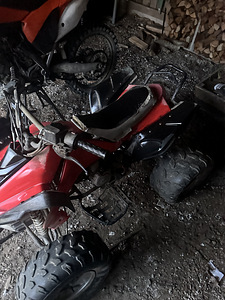 Детский ATV 125cc (2 фото из 10)