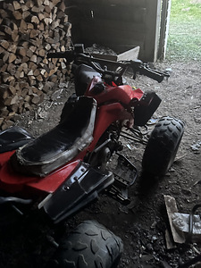 Детский ATV 125cc (4 фото из 10)
