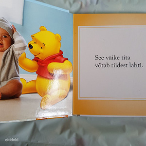 Uued raamatud (3 foto / 10)