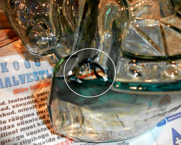 Itaalia kiikhobu kujul helesinisest klaasist suur vaas (foto #4)