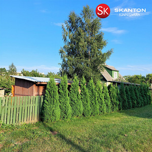 Jaama tee 16, Turba, Saue vald, Harjumaa (1 foto / 10)