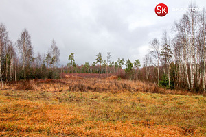 Väike-Luha, Suursoo, Rae vald, Harjumaa (2 foto / 10)
