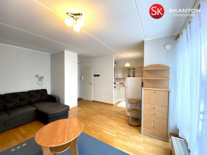 Mõisavahe tn 58, Tartu, Tartumaa (5 foto / 10)