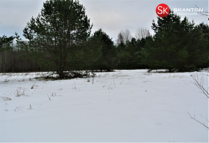 Õnnemaa, Raudoja, Anija vald, Harjumaa (1 foto / 10)
