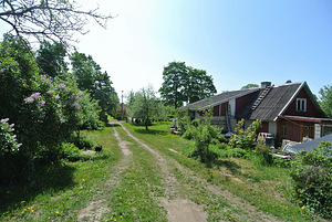 Rohu tn, Lelle, Kehtna vald, Raplamaa (2 foto / 10)