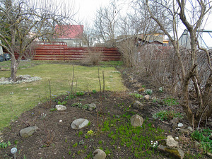 Heina tn 5, Rakvere, Lääne-Virumaa (4 foto / 10)