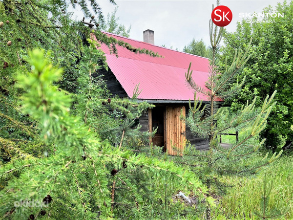 Lääne-Viru maakond, Haljala vald, Põdruse küla, Simo (фото #5)