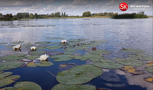 Vastsekivi vesiveski, Antsu, Antsla vald, Võrumaa (6 foto / 10)